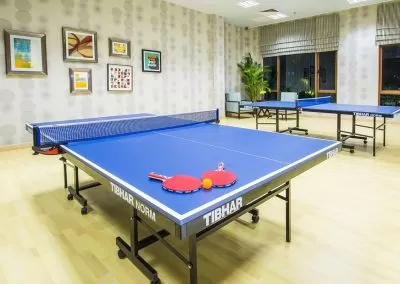 pingpong room 22